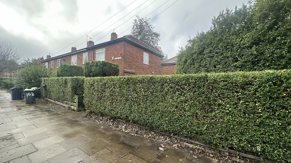 Neatly cut and shaped hedge running along a garden boundary